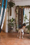 Sayulita Central Hotel