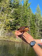 Ladd Pond Cabins and Campground