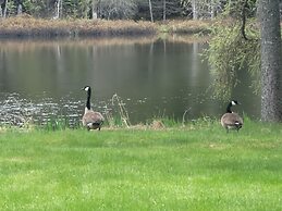 Ladd Pond Cabins and Campground