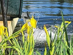Ladd Pond Cabins and Campground