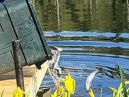 Ladd Pond Cabins and Campground