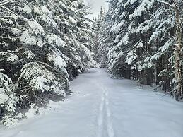 Ladd Pond Cabins and Campground