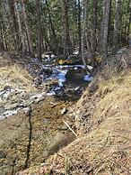 Ladd Pond Cabins and Campground