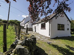 Cwm