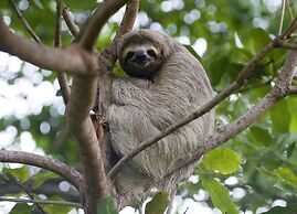 VAL HOTEL MANUEL ANTONIO