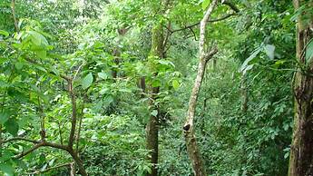 VAL HOTEL MANUEL ANTONIO