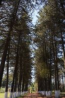 Cabañas Rancho el Mayab