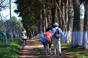 Cabañas Rancho el Mayab