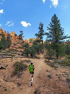 Canyons of Escalante RV Park