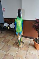 Hotel el Tucan Alajuela