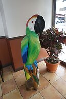 Hotel el Tucan Alajuela