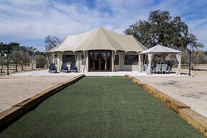El Toril Glamping Experience