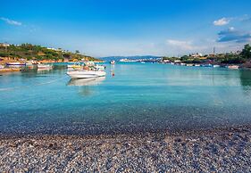 Olive Garden Villa Crete Private Pool
