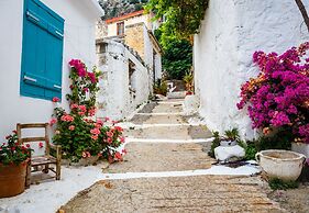 Olive Garden Villa Crete Private Pool