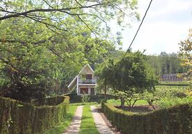 Pousada Golden Garden