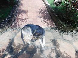 Remarkable 2-bed Cottage Along Gayaza Road