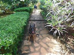 Remarkable 2-bed Cottage Along Gayaza Road