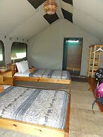 Ngamba Island Tented Camp