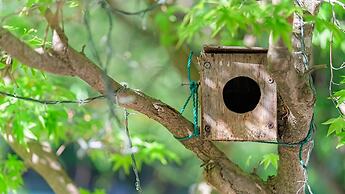 Yeongwol Wood Valley Pension