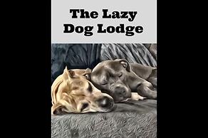 Lazy Dog Lodge on Minong Flowage