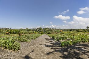 Swan Paradise A Pramana Experience