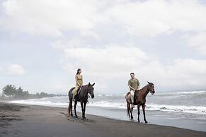 Swan Paradise A Pramana Experience