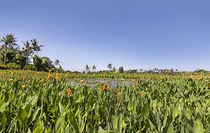 Swan Paradise A Pramana Experience