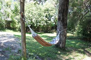 Little Ray on Sunshine