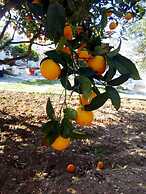 Kassandra Garden Residence