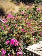 Kassandra Garden Residence