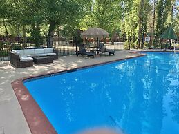 Grey Squirrel Resort