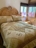 Grey Squirrel Resort