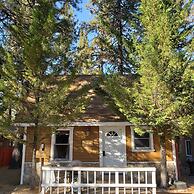 Grey Squirrel Resort