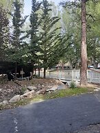 Grey Squirrel Resort