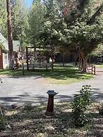 Grey Squirrel Resort