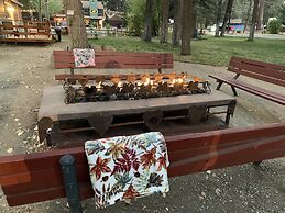 Grey Squirrel Resort