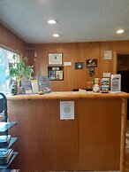 Grey Squirrel Resort