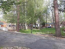 Grey Squirrel Resort