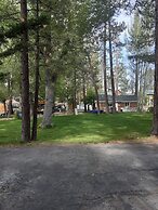 Grey Squirrel Resort