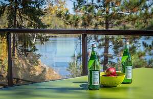 Beautiful Log Cabin on Saganaga Lake