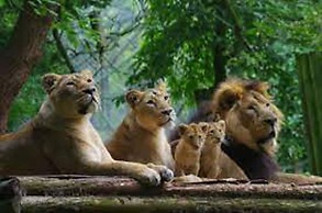 Quirky Loft Apartment in Paignton With sea Views