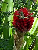 Boundless Bliss Hotel