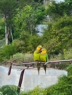 Boundless Bliss Hotel