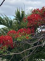 Boundless Bliss Hotel