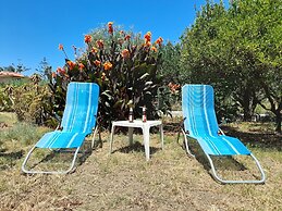 Margherita's Nest by the sea With Birds Song