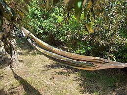 Margherita's Nest by the sea With Birds Song