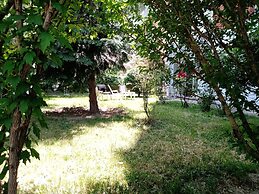Near Lake, With View, Center