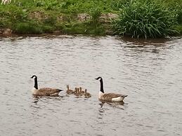 Pretty & Cosy Boat in Stunning Valley View, Wales