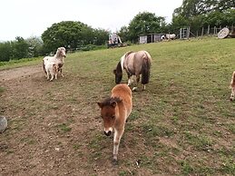 Pretty & Cosy Boat in Stunning Valley View, Wales