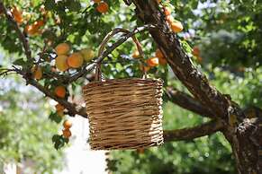 TD Villa Marinesca Typical Villa With Pool